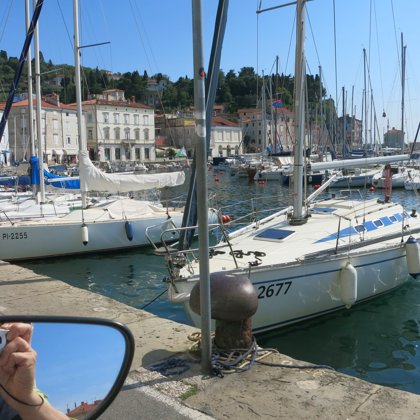 Piran osta, Slovēnija