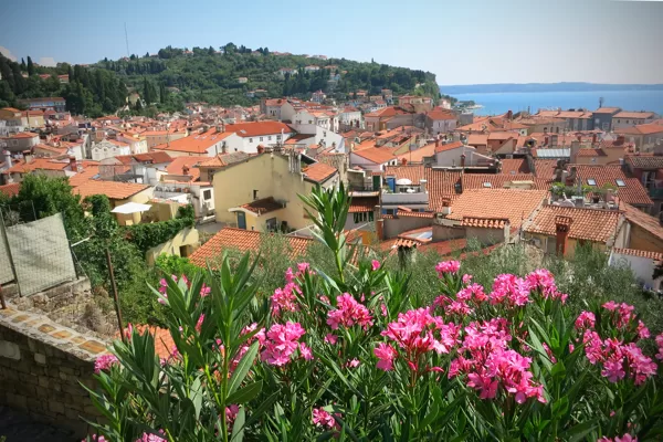 Piran panorāma, Slovēnija