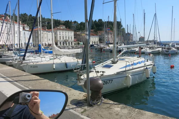 Piran osta, Slovēnija